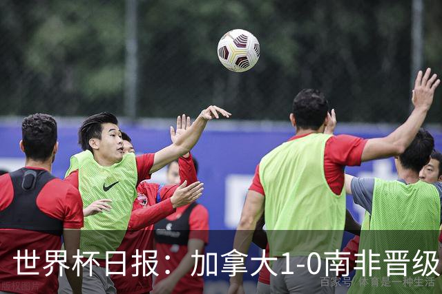 世界杯日报：加拿大1-0南非晋级创历史 韩国主帅洪明甫下课