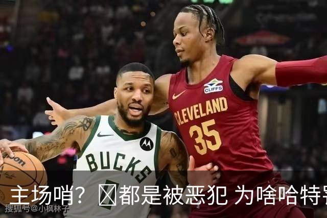 主场哨？🧠都是被恶犯 为啥哈特罚一个 文班罚两个？