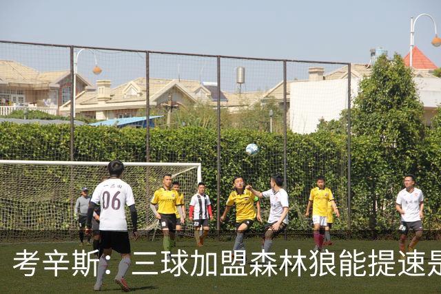 考辛斯：三球加盟森林狼能提速是加分项 他和爱德华兹非常契合